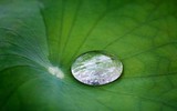 [ẢNH] Khám phá những vật liệu kỳ lạ nhất hành tinh