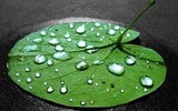 [ẢNH] Khám phá những vật liệu kỳ lạ nhất hành tinh