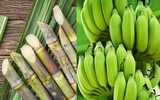 [ẢNH] Khám phá những món ăn đem lại may mắn vào dịp Tết của các nước châu Á 