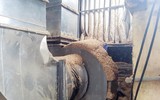 [ẢNH] Sự nguy hiểm khôn lường của ung thư hạ họng