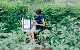 [ẢNH] Hành trình trở thành 'tiên nữ đồng quê' nổi tiếng trên YouTube của Lý Tử Thất