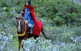 [ẢNH] Hành trình trở thành 'tiên nữ đồng quê' nổi tiếng trên YouTube của Lý Tử Thất