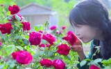 [ẢNH] Hành trình trở thành 'tiên nữ đồng quê' nổi tiếng trên YouTube của Lý Tử Thất