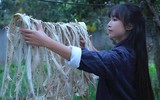 [ẢNH] Hành trình trở thành 'tiên nữ đồng quê' nổi tiếng trên YouTube của Lý Tử Thất