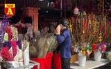 [ẢNH] Ngắm hoa ‘đẹp - độc - lạ’ ở chợ hoa Quảng An ngày giáp Tết 