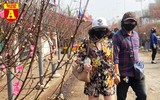 [ẢNH] Ngắm hoa ‘đẹp - độc - lạ’ ở chợ hoa Quảng An ngày giáp Tết 