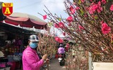 [ẢNH] Ngắm hoa ‘đẹp - độc - lạ’ ở chợ hoa Quảng An ngày giáp Tết 