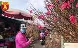 [ẢNH] Ngắm hoa ‘đẹp - độc - lạ’ ở chợ hoa Quảng An ngày giáp Tết 