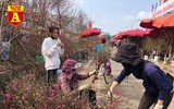 [ẢNH] Ngắm hoa ‘đẹp - độc - lạ’ ở chợ hoa Quảng An ngày giáp Tết 