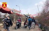 [ẢNH] Ngắm hoa ‘đẹp - độc - lạ’ ở chợ hoa Quảng An ngày giáp Tết 