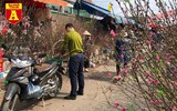[ẢNH] Ngắm hoa ‘đẹp - độc - lạ’ ở chợ hoa Quảng An ngày giáp Tết 