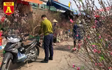 [ẢNH] Ngắm hoa ‘đẹp - độc - lạ’ ở chợ hoa Quảng An ngày giáp Tết 