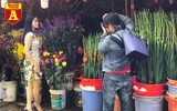 [ẢNH] Ngắm hoa ‘đẹp - độc - lạ’ ở chợ hoa Quảng An ngày giáp Tết 