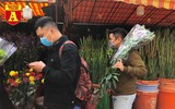 [ẢNH] Ngắm hoa ‘đẹp - độc - lạ’ ở chợ hoa Quảng An ngày giáp Tết 