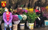 [ẢNH] Ngắm hoa ‘đẹp - độc - lạ’ ở chợ hoa Quảng An ngày giáp Tết 