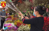 [ẢNH] Ngắm hoa ‘đẹp - độc - lạ’ ở chợ hoa Quảng An ngày giáp Tết 