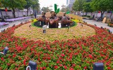 [ẢNH] Linh vật trâu hiện diện trong đời sống văn hoá Tết Tân Sửu các địa phương