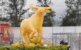 [ẢNH] Linh vật trâu hiện diện trong đời sống văn hoá Tết Tân Sửu các địa phương