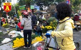[ẢNH] Chợ chiều 30 Tết đông vui hiếm thấy, người mua tấp nập, hàng hoá 'giữ giá'