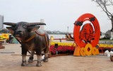 [ẢNH] Linh vật trâu hiện diện trong đời sống văn hoá Tết Tân Sửu các địa phương