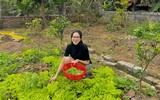 [ẢNH] Hình ảnh đối lập trước và sau khi về quê đón Tết Tân Sửu của dàn mỹ nhân Việt 