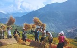 [ẢNH] Bảng xếp hạng chỉ số hạnh phúc phụ thuộc vào những yếu tố nào?