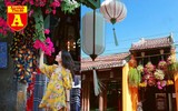 [ẢNH] Rạo rực hoa tháng 3: TP.HCM kèn hồng rực rỡ - Hội An hoa giấy rợp trời - Hà Nội muồng hoàng yến ‘thế chỗ’ hoa ban
