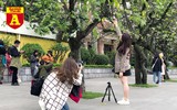 [ẢNH] Rạo rực hoa tháng 3: TP.HCM kèn hồng rực rỡ - Hội An hoa giấy rợp trời - Hà Nội muồng hoàng yến ‘thế chỗ’ hoa ban