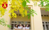 [ẢNH] Rạo rực hoa tháng 3: TP.HCM kèn hồng rực rỡ - Hội An hoa giấy rợp trời - Hà Nội muồng hoàng yến ‘thế chỗ’ hoa ban