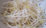 [ẢNH] Điểm danh những loại thực phẩm dễ gây ngộ độc vào mùa hè 