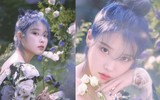 [ẢNH] Điểm danh những nghệ sĩ nữ gây 