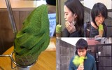[ẢNH] Khám phá những món kem 'lạ đời' nhất thế giới 