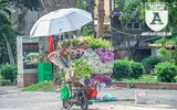[ẢNH] Người lao động nhọc nhằn mưu sinh dưới thời tiết oi nóng của Hà Nội