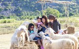 [ẢNH] Ngắm thời khắc bình minh tuyệt đẹp giữa 'biển mây' trên đỉnh núi Bà Đen