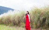 [ẢNH] Ngắm thời khắc bình minh tuyệt đẹp giữa 'biển mây' trên đỉnh núi Bà Đen