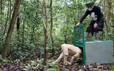 [ẢNH] Những động vật bị bạch tạng quý hiếm