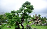 [ẢNH] Khối tài sản của danh hài Hoài Linh 'khủng' cỡ nào?