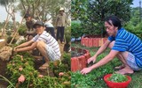 [ẢNH] Khối tài sản của danh hài Hoài Linh 'khủng' cỡ nào?