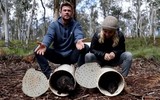 [ẢNH] Điều ít biết về quỷ Tasmania - sinh vật vừa chào đời ở lục địa Australia sau 3.000 năm biến mất