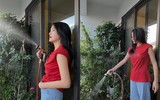 [ẢNH] Sao Việt mùa dịch: Tự Long đạp xe trong phòng, Trọng Tấn khoe vườn cây, dàn Hoa hậu mở studio tại gia