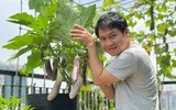 [ẢNH] Sao Việt mùa dịch: Tự Long đạp xe trong phòng, Trọng Tấn khoe vườn cây, dàn Hoa hậu mở studio tại gia