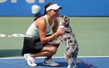 [ẢNH] Cuộc sống trong mơ của tay vợt giàu nhất thế giới, vượt cả Federer và Serena William