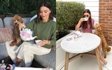 [ẢNH] Cuộc sống xa hoa của những thú cưng giàu nhất hành tinh