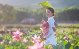 [ẢNH] Mùa sen thanh khiết trên khắp nẻo miền Trung 