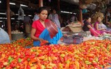 [ẢNH] Bên trong những khu mua sắm độc lạ nhất thế giới