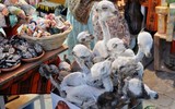 [ẢNH] Bên trong những khu mua sắm độc lạ nhất thế giới