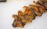 [ẢNH] Điểm danh những loại sushi độc đáo ở xứ sở hoa anh đào