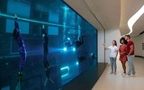 [ẢNH] Cận cảnh bể lặn sâu nhất thế giới mở cửa tại Dubai