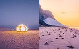 [ẢNH] Chiêm ngưỡng cây huyết rồng trên hòn đảo ‘ngoài hành tinh’ Socotra