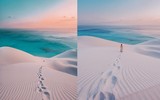 [ẢNH] Chiêm ngưỡng cây huyết rồng trên hòn đảo ‘ngoài hành tinh’ Socotra